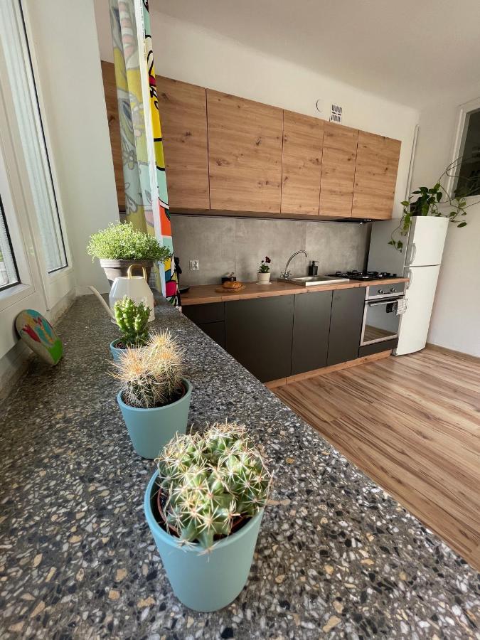 Old Town Nest Apartman Krakkó Kültér fotó